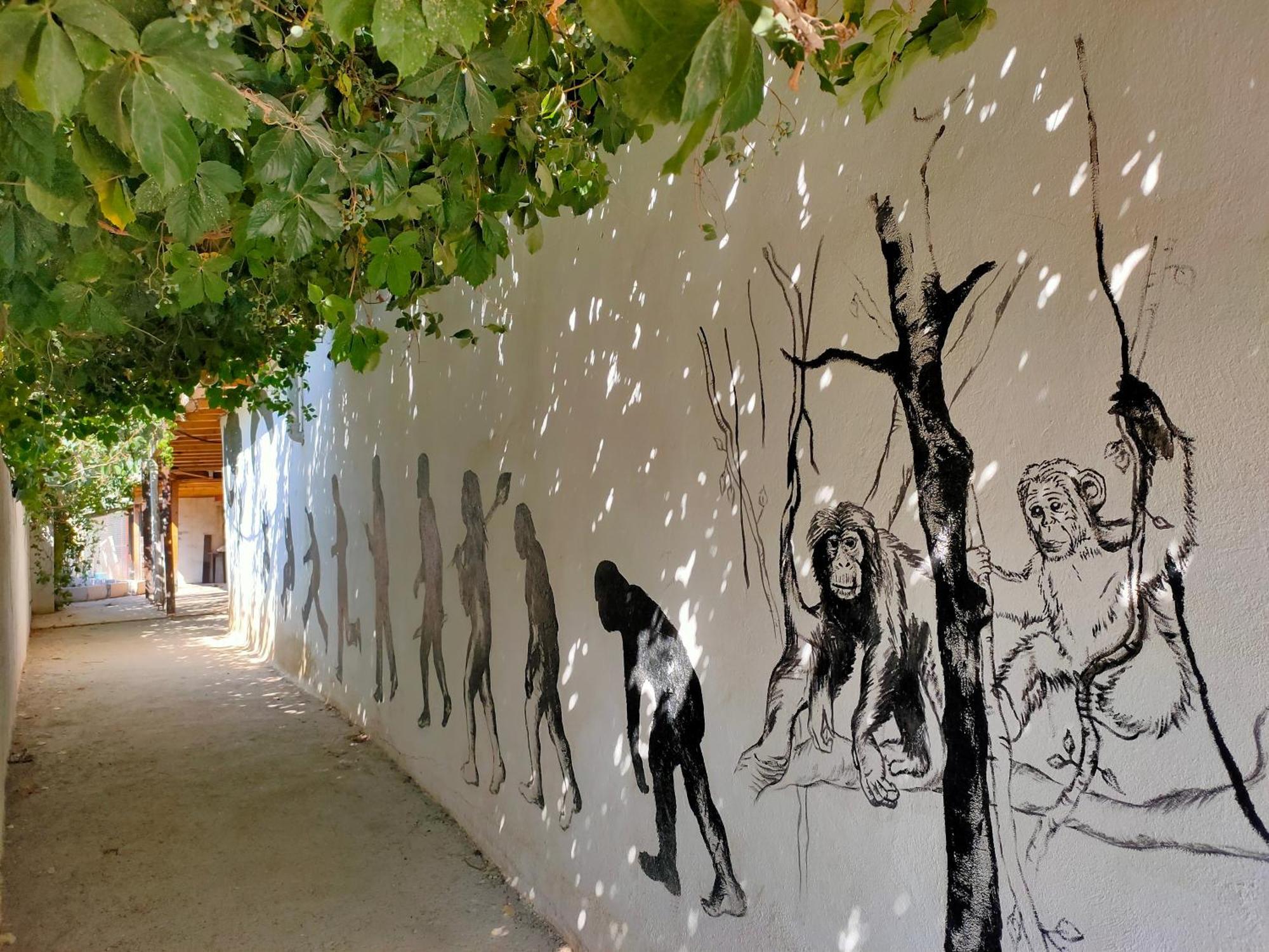 Oludeniz Hostel Eksteriør bilde